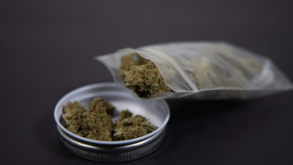 Beginner’s Guide: Trying THCV for the First Time